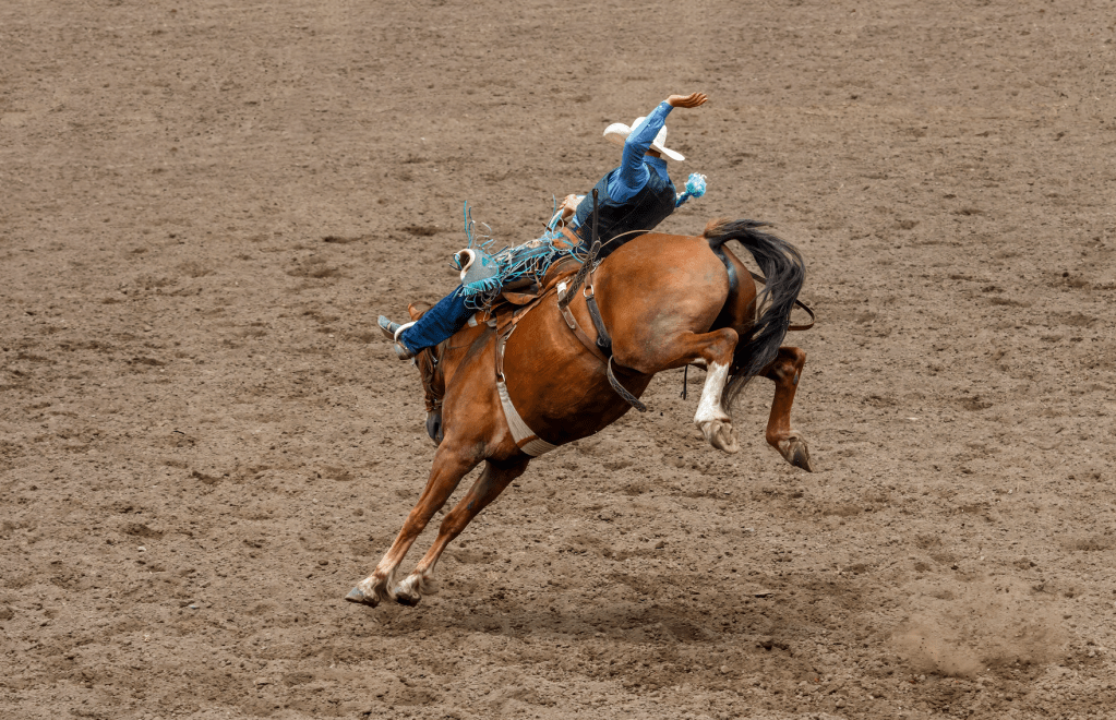 15|60 My First&nbsp;Rodeo