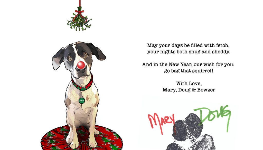 43|60 Life in Christmas&nbsp;Cards